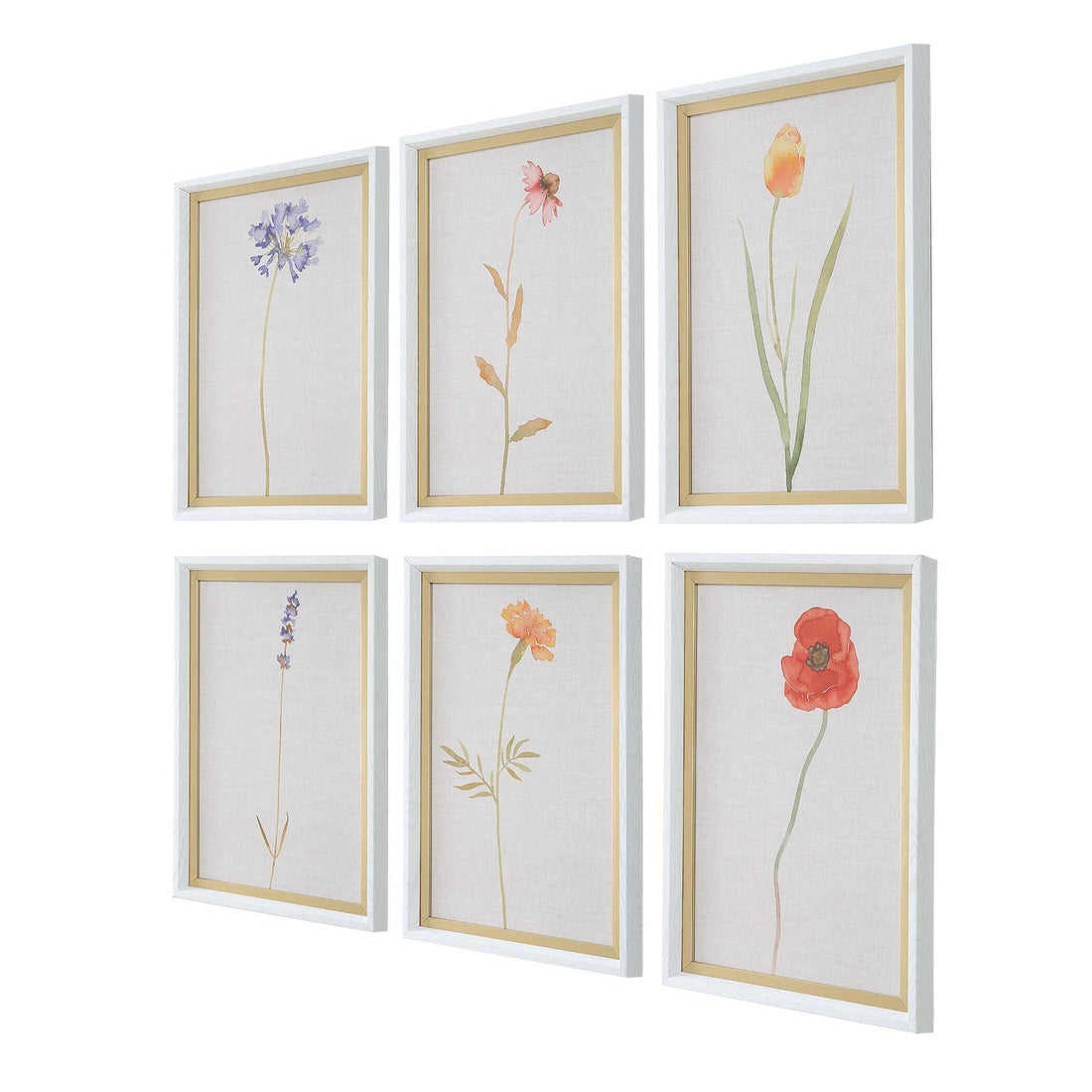 UTTERMOST Wild Flourish Framed Floral Prints Set Of 6 - Art