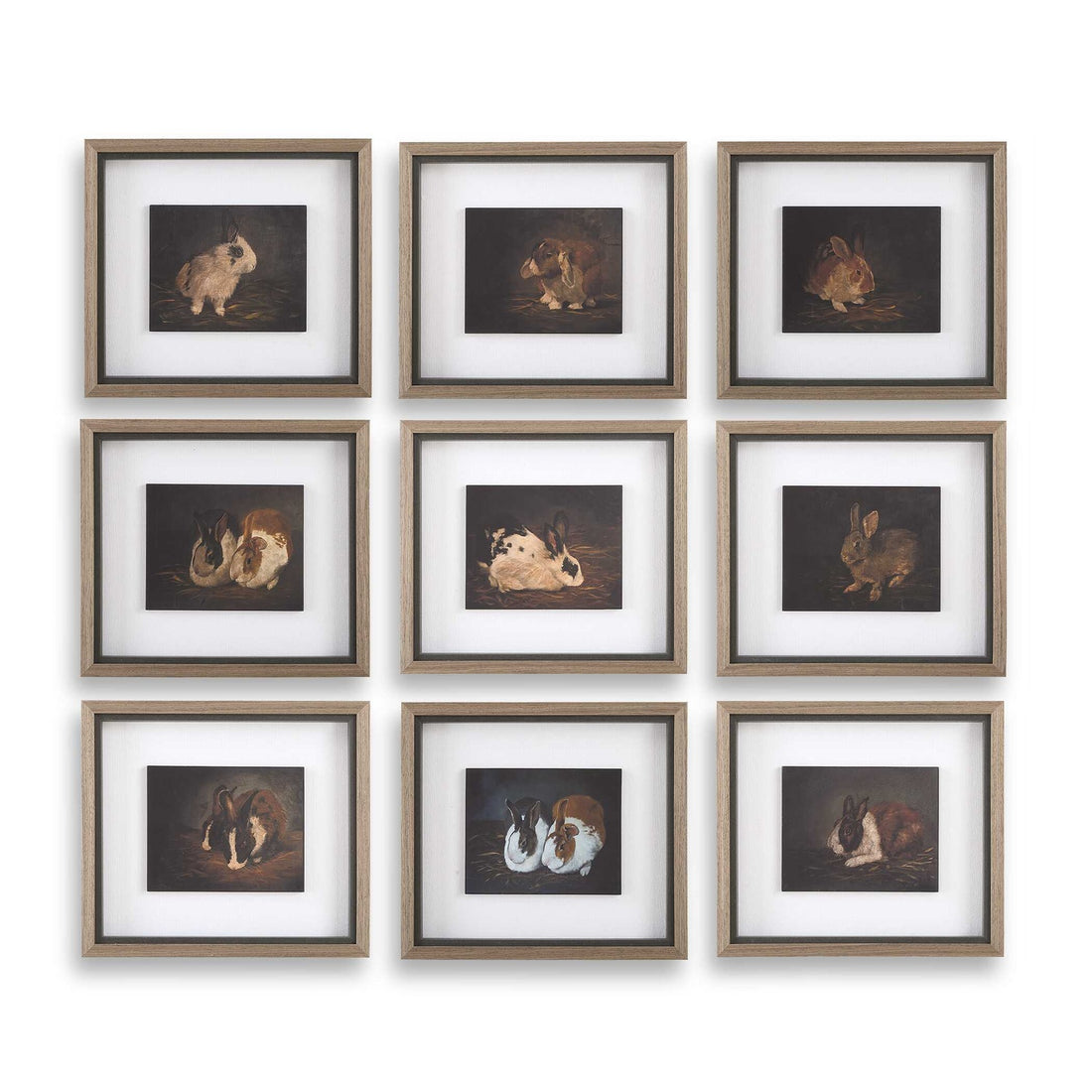 UTTERMOST Resting Bunny Framed Prints Set Of 9 - Art