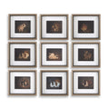 UTTERMOST Resting Bunny Framed Prints Set Of 9 - Art
