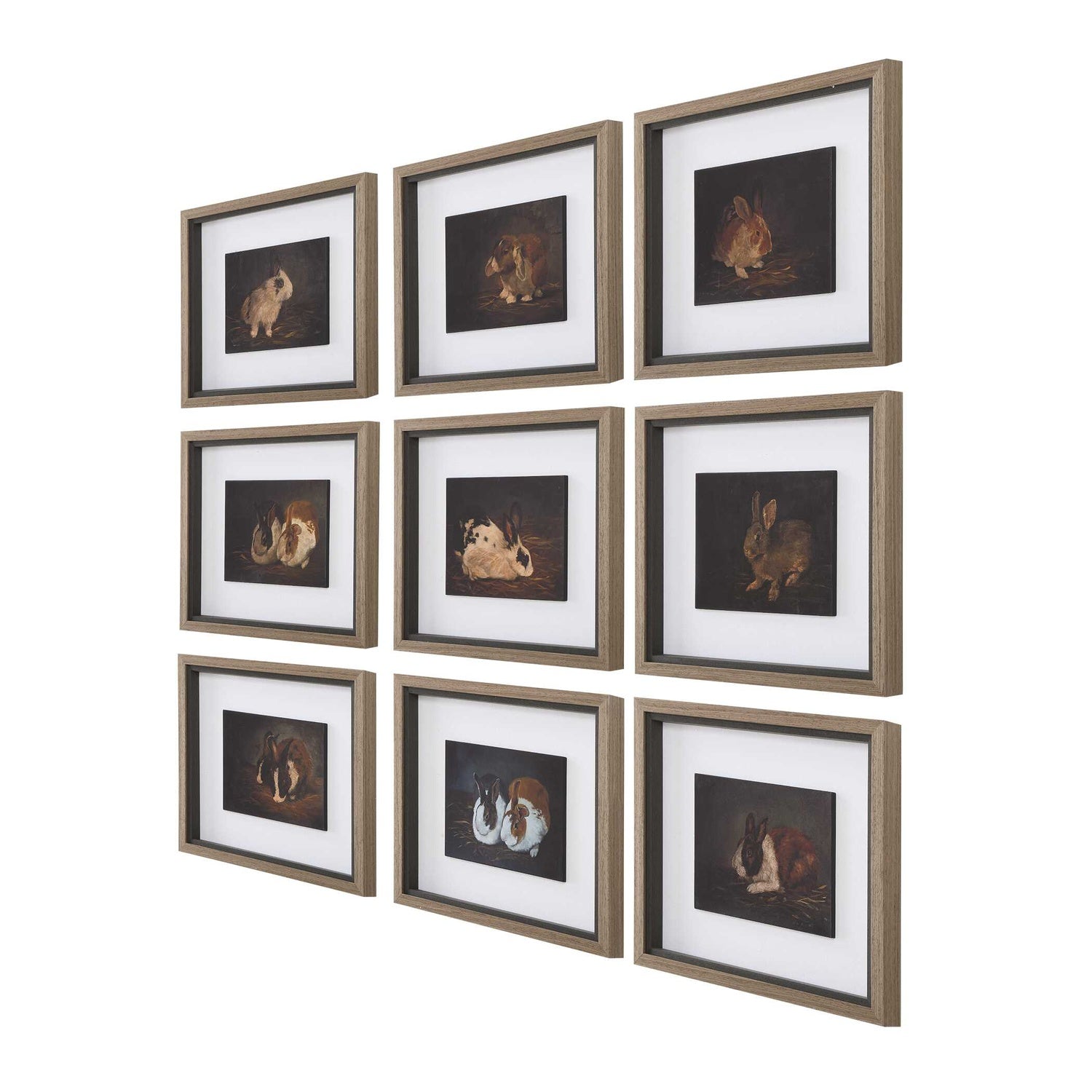 UTTERMOST RESTING BUNNY FRAMED PRINTS - Art