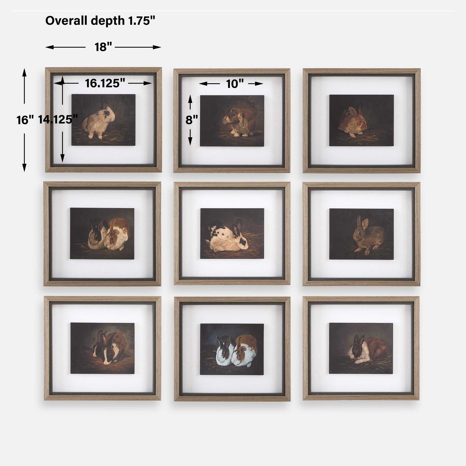 UTTERMOST Resting Bunny Framed Prints Set Of 9 - Art