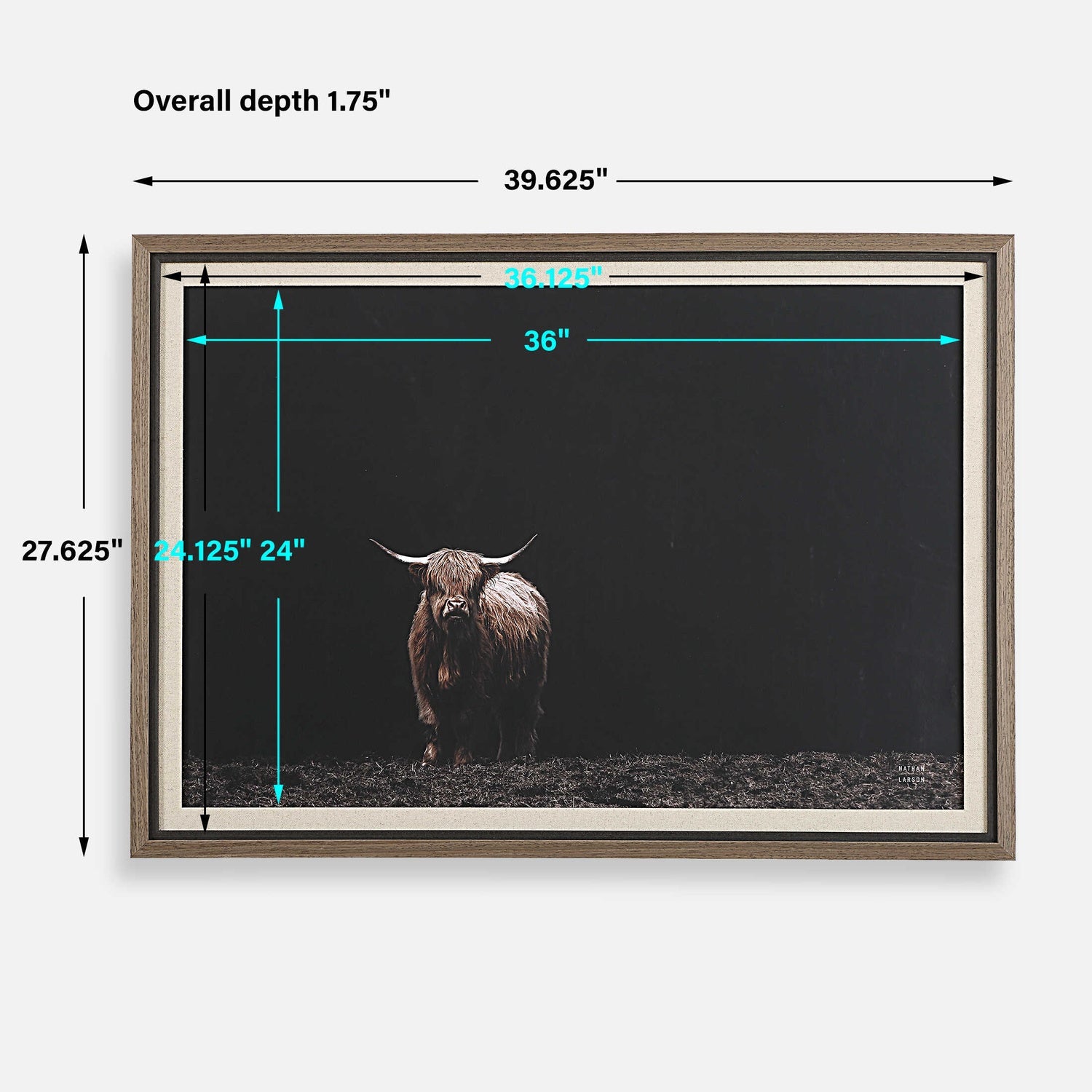UTTERMOST KING OF THE HILL FRAMED BOVINE PRINT - Art