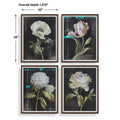 UTTERMOST Florals On Framed Prints Set Of 4 - Art