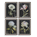 UTTERMOST FLORALS ON FRAMED PRINTS - Art