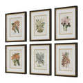 UTTERMOST ORCHID FRAMED PRINTS - Art