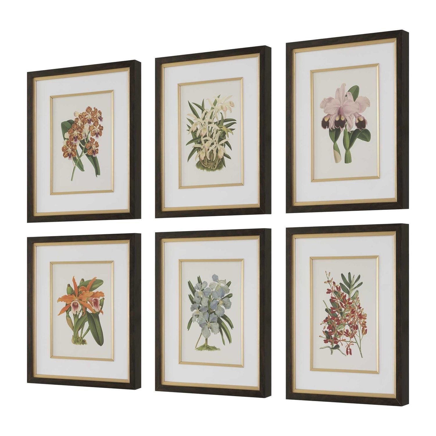 UTTERMOST ORCHID FRAMED PRINTS - Art
