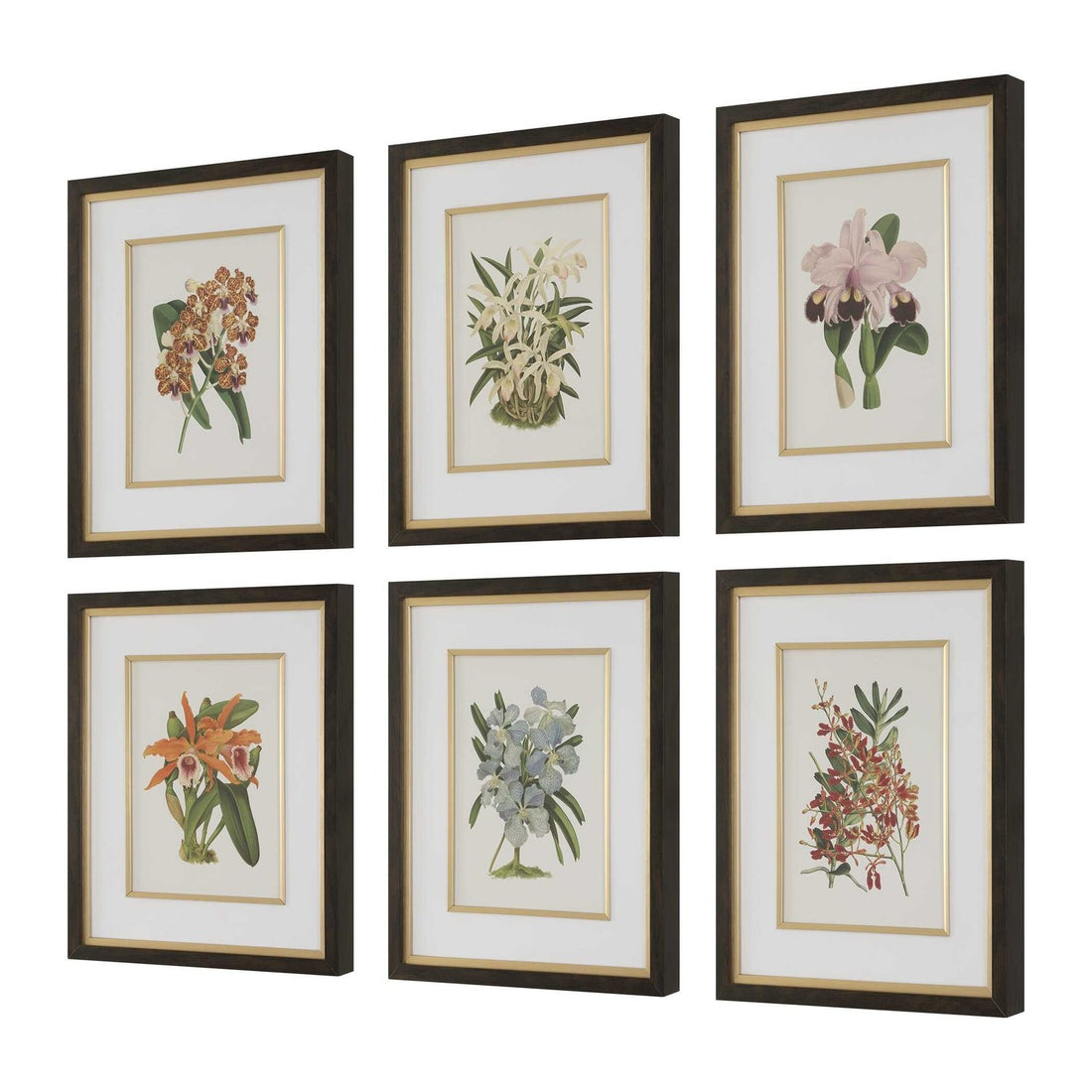 UTTERMOST Orchid Framed Prints Set Of 6 - Art