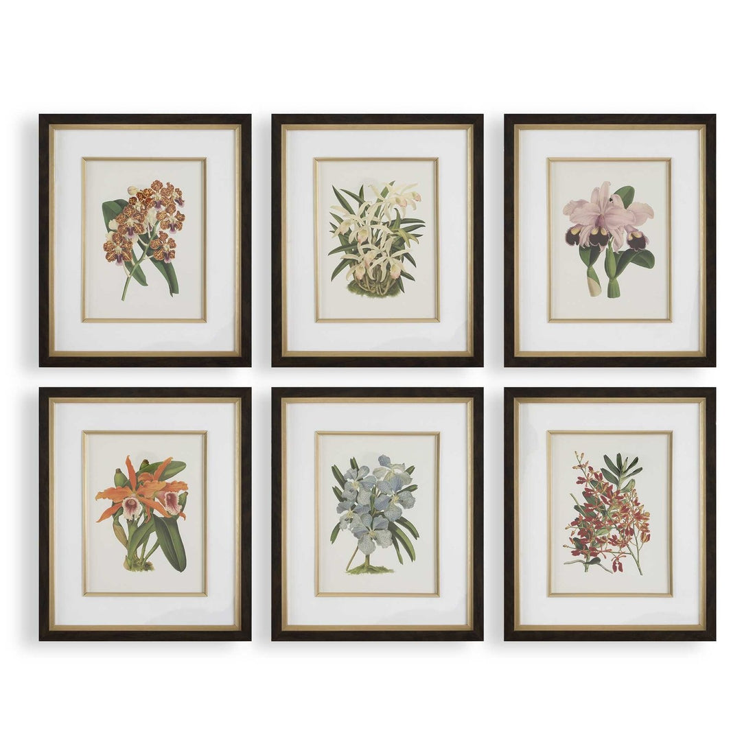 UTTERMOST Orchid Framed Prints Set Of 6 - Art