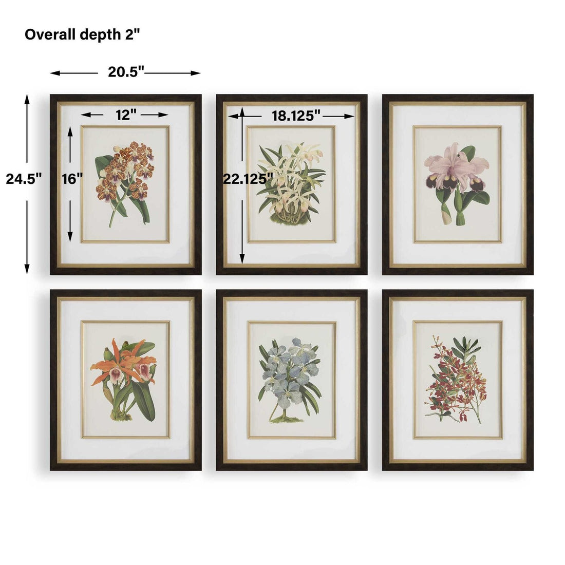 UTTERMOST ORCHID FRAMED PRINTS - Art