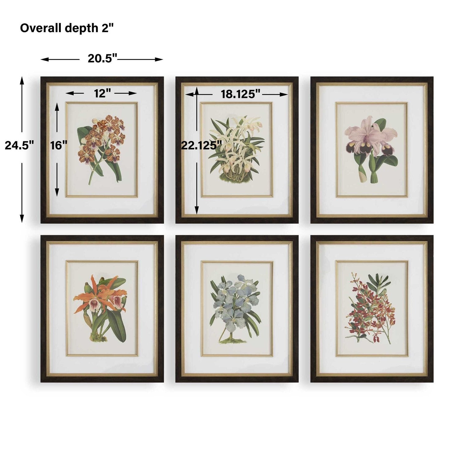 UTTERMOST ORCHID FRAMED PRINTS - Art