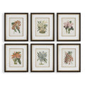 UTTERMOST ORCHID FRAMED PRINTS - Art