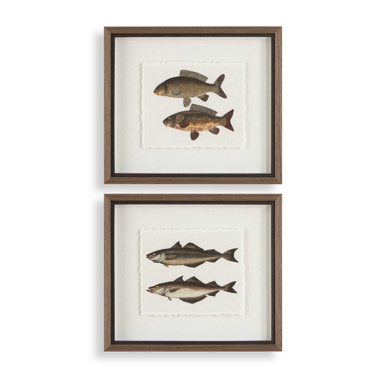 UTTERMOST THE CATCH FRAMED FISH PRINTS - Art