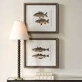 UTTERMOST THE CATCH FRAMED FISH PRINTS - Art