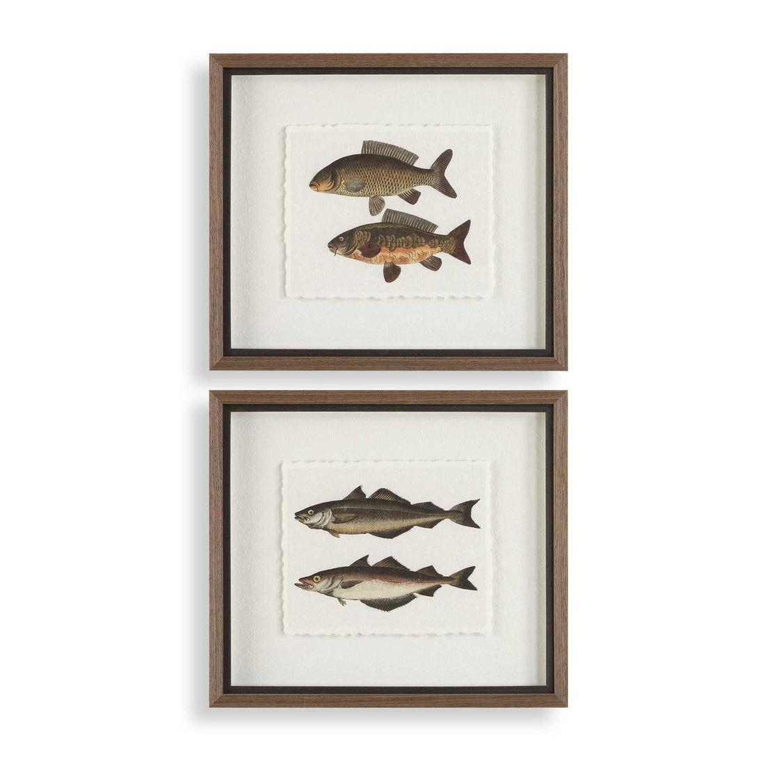 UTTERMOST The Catch Framed Fish Prints Set Of 2 - Art