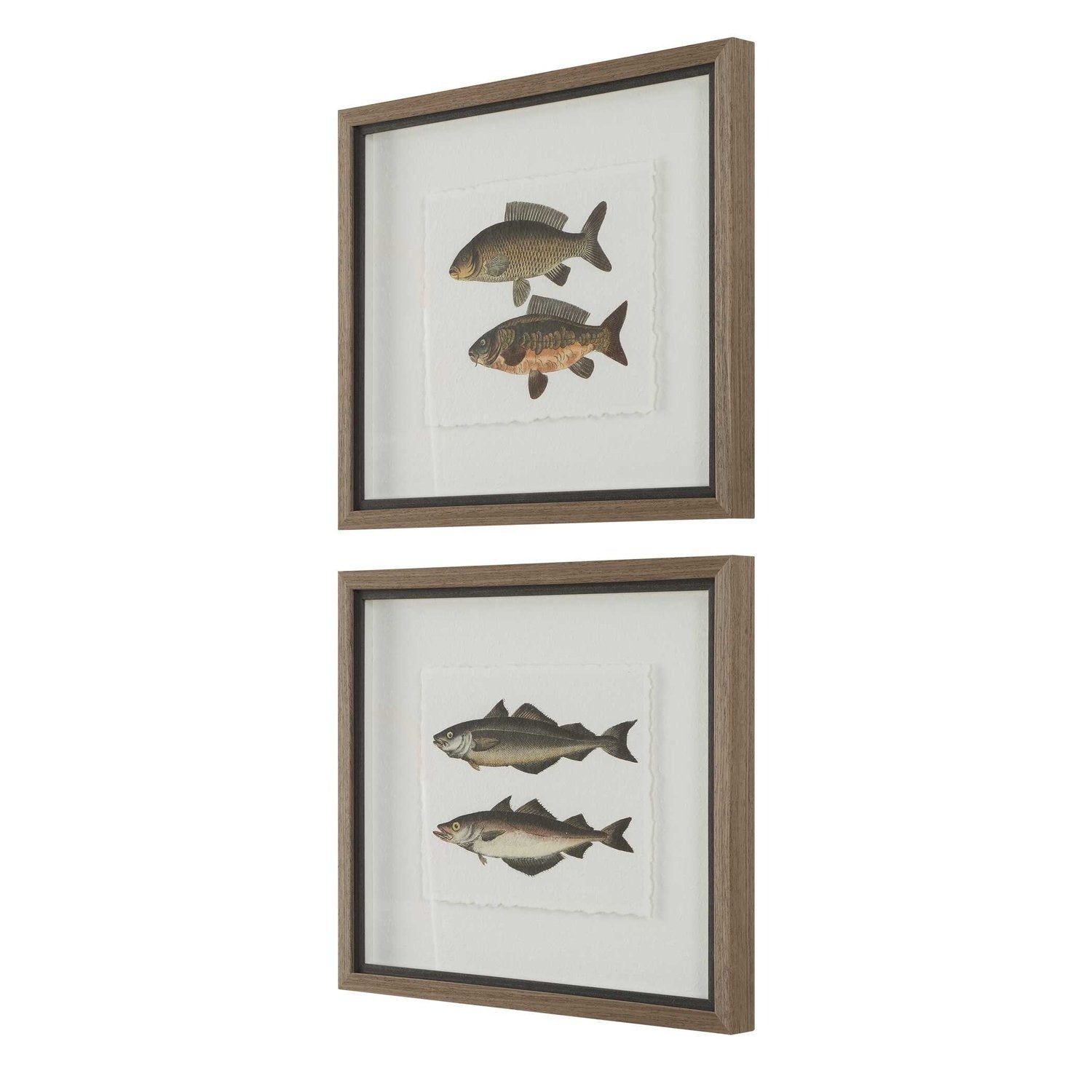 UTTERMOST THE CATCH FRAMED FISH PRINTS - Art