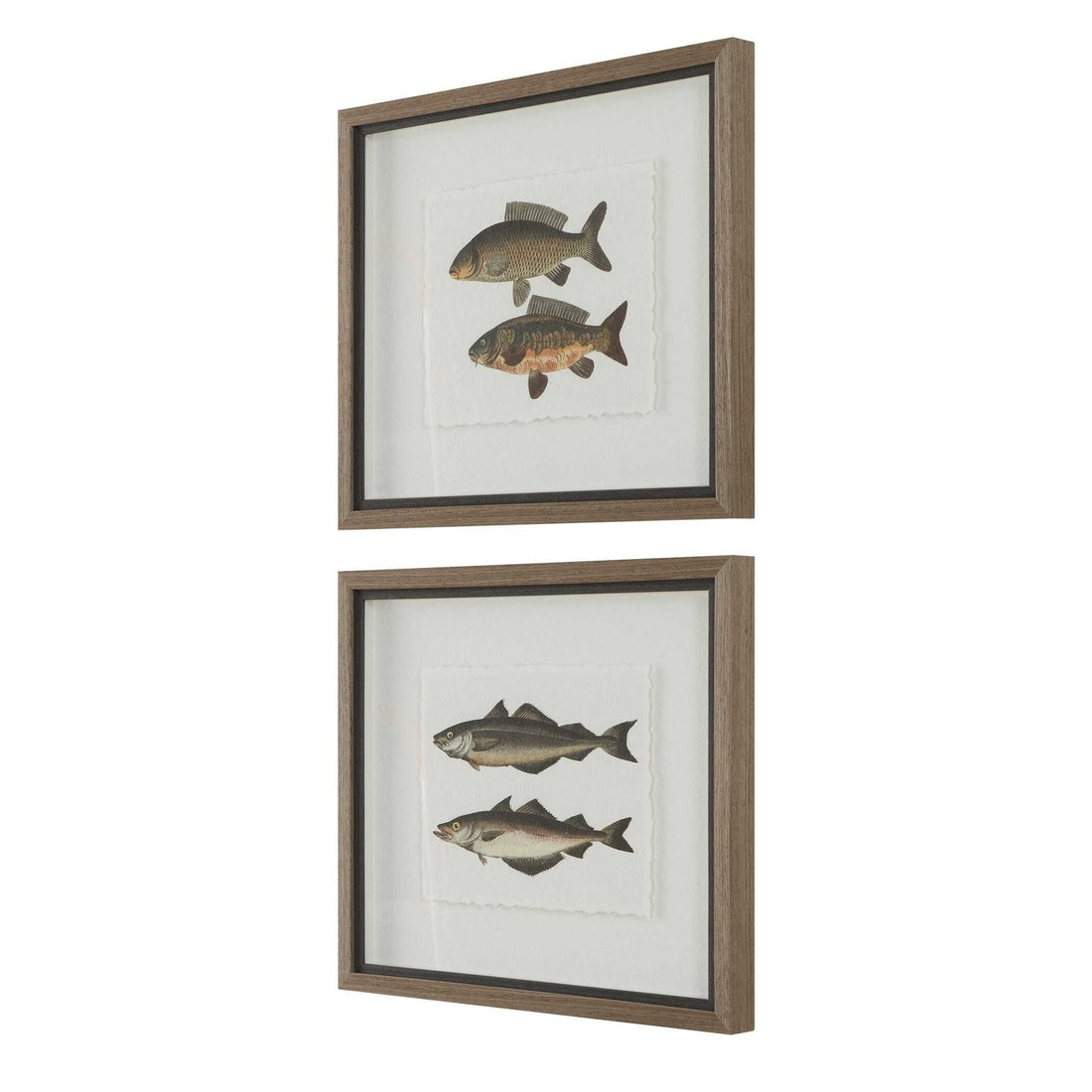 UTTERMOST The Catch Framed Fish Prints Set Of 2 - Art