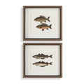 UTTERMOST The Catch Framed Fish Prints Set Of 2 - Art