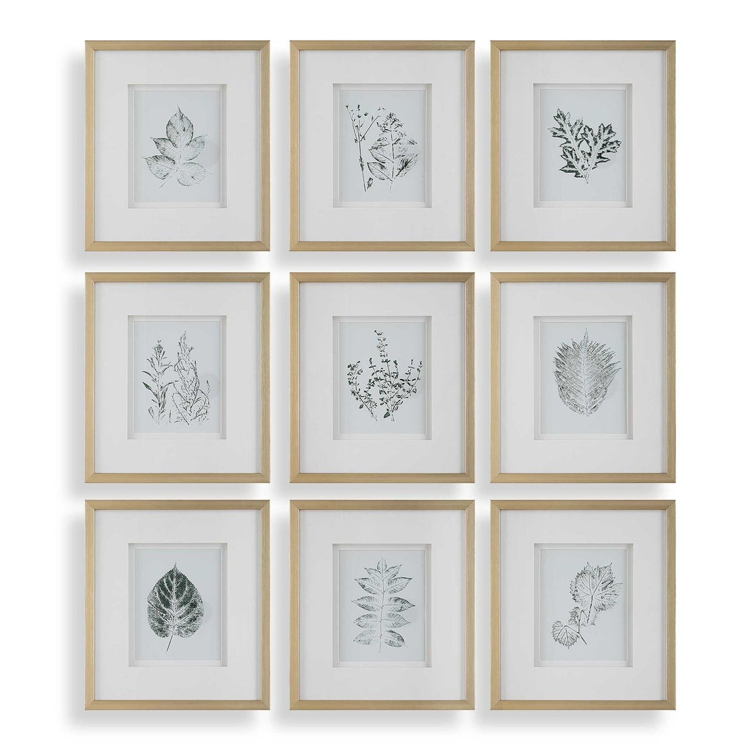 UTTERMOST Nature's Script Framed Prints Set Of 9 - Art