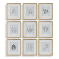 UTTERMOST Nature's Script Framed Prints Set Of 9 - Art