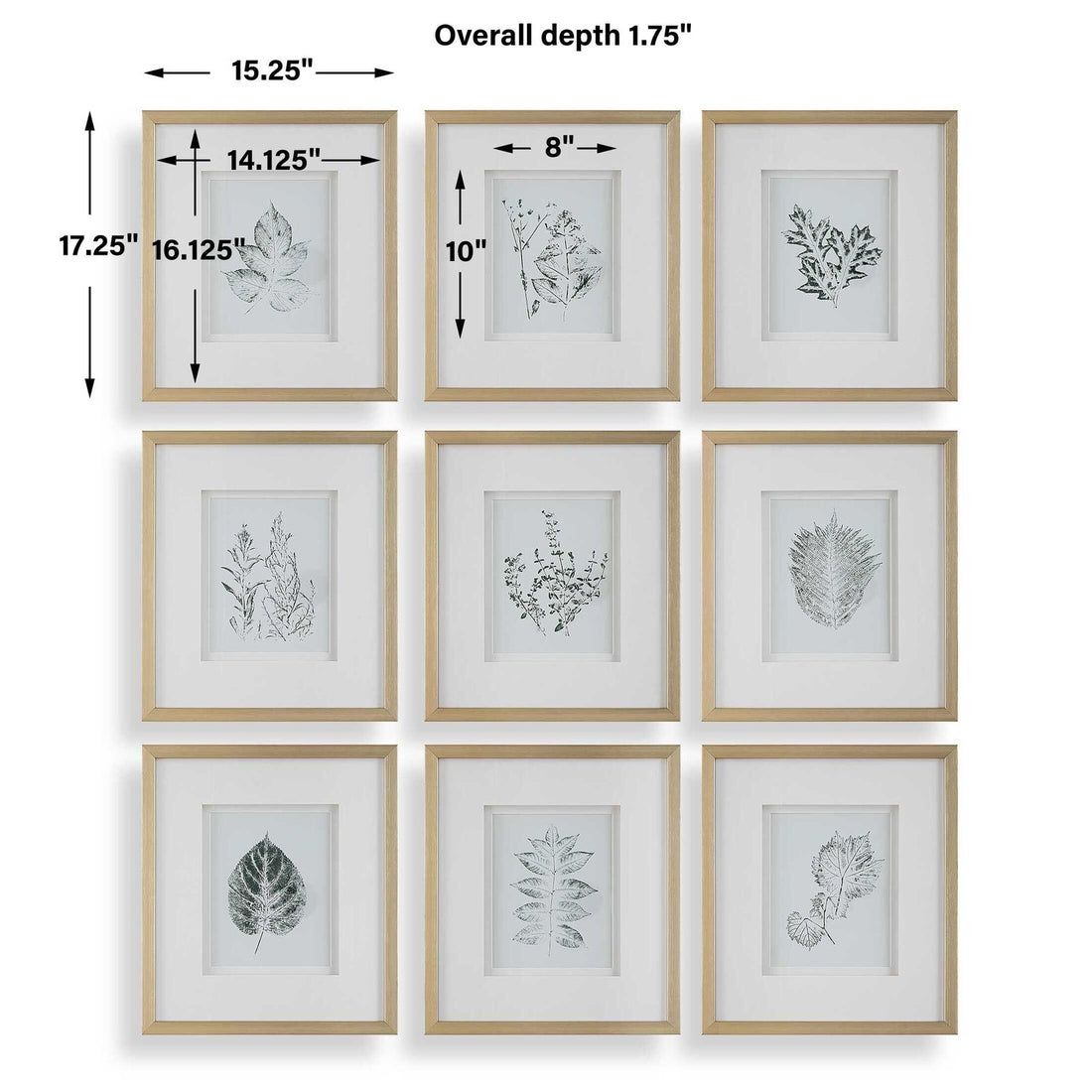 UTTERMOST NATURE'S SCRIPT FRAMED PRINTS - Art