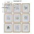 UTTERMOST NATURE'S SCRIPT FRAMED PRINTS - Art