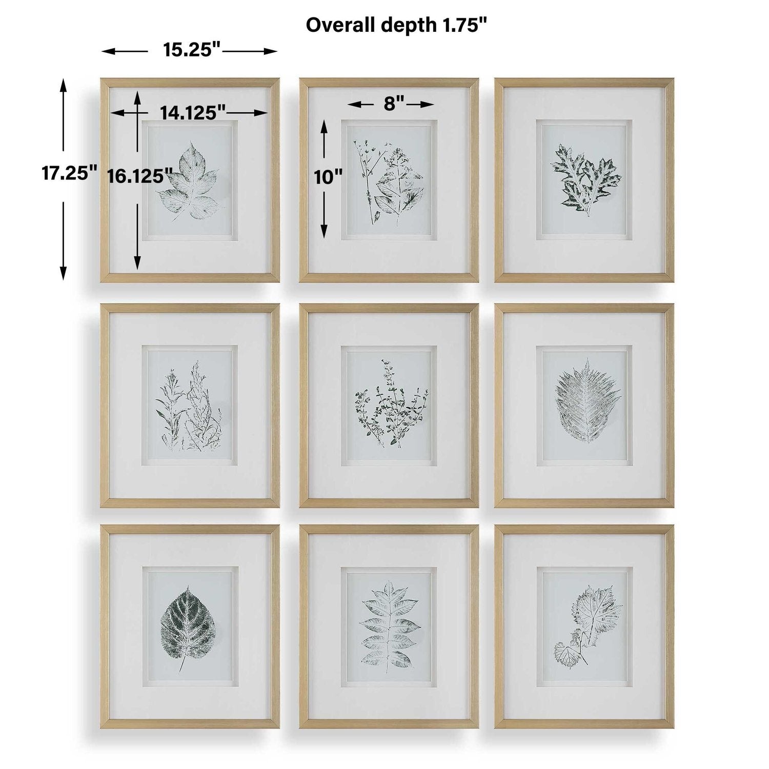 UTTERMOST NATURE'S SCRIPT FRAMED PRINTS - Art