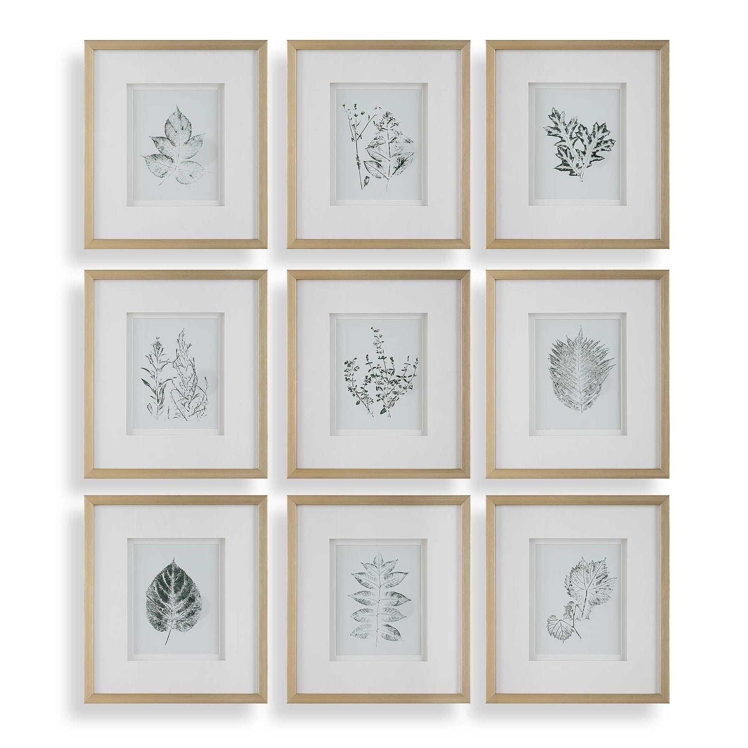 UTTERMOST NATURE'S SCRIPT FRAMED PRINTS - Art