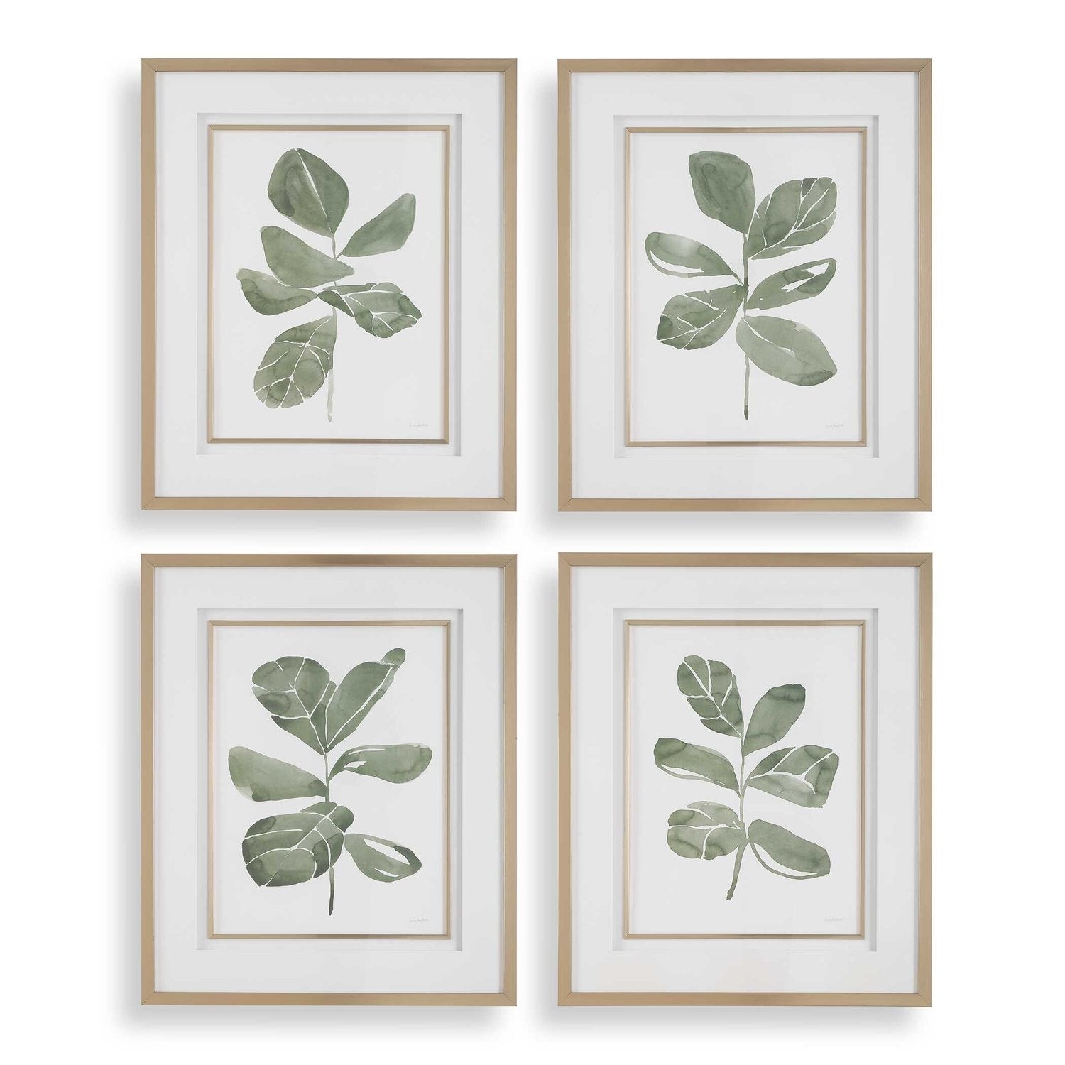 UTTERMOST Fiddle Head Leaf Prints Set Of 4 - Art