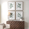 UTTERMOST FIDDLE HEAD LEAF PRINTS - Art