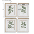 UTTERMOST Fiddle Head Leaf Prints Set Of 4 - Art