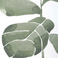 UTTERMOST Fiddle Head Leaf Prints Set Of 4 - Art