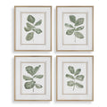 UTTERMOST FIDDLE HEAD LEAF PRINTS - Art