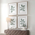 UTTERMOST Fiddle Head Leaf Prints Set Of 4 - Art