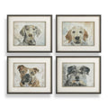 UTTERMOST Dog Days Framed Prints Set Of 4 - Art