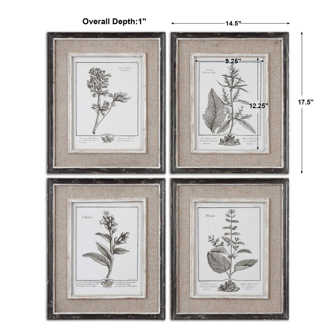 UTTERMOST Casual Study Framed Art Set Of 4 - Art