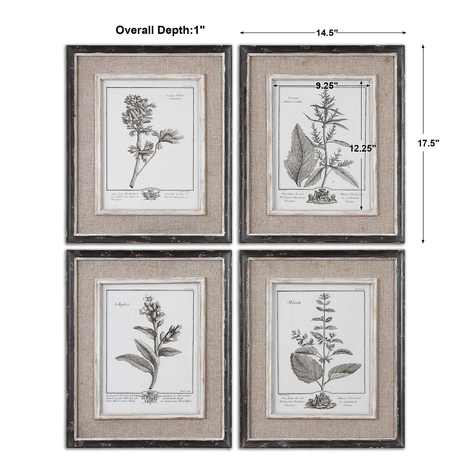 UTTERMOST Casual Study Framed Art Set Of 4 - Art