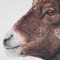 UTTERMOST Big Horn Sheep Framed Print - Art