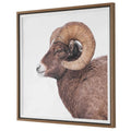 UTTERMOST Big Horn Sheep Framed Print - Art
