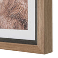 UTTERMOST Big Horn Sheep Framed Print - Art