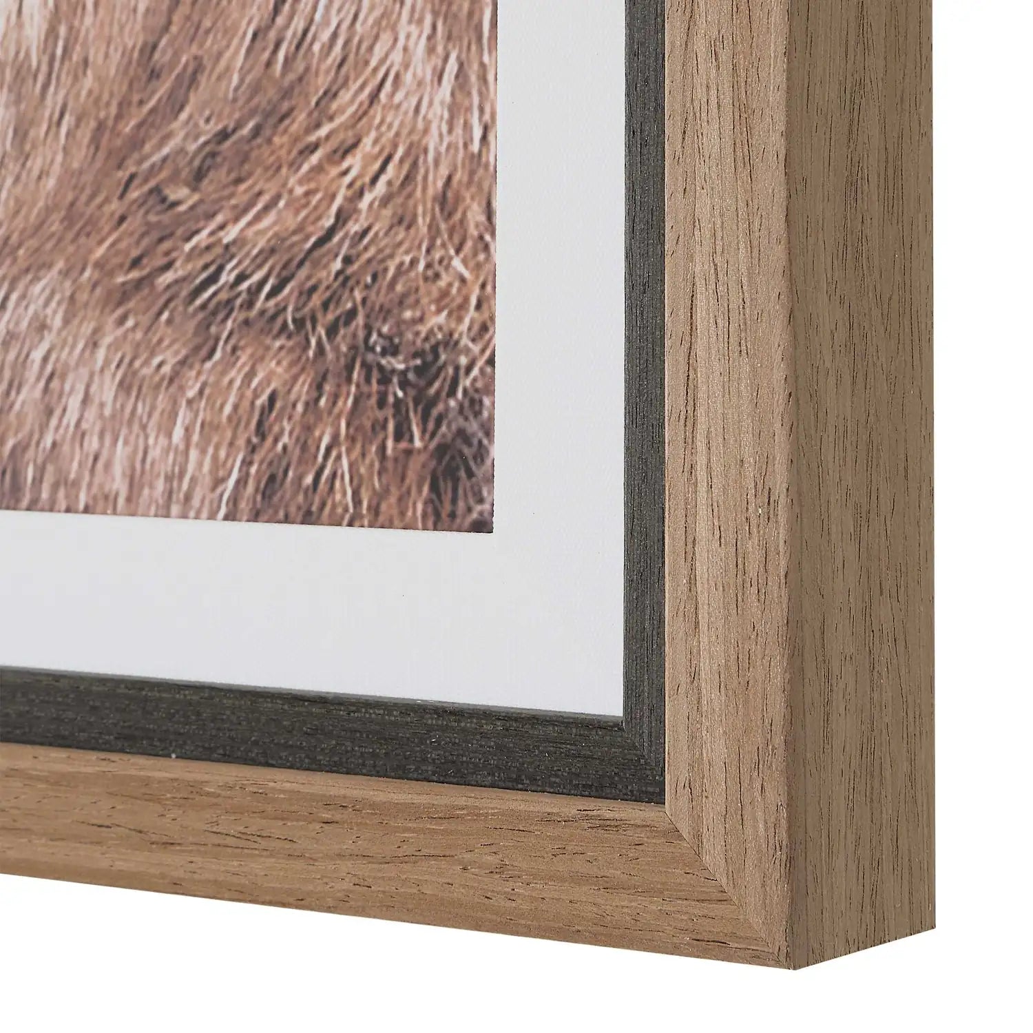 UTTERMOST Big Horn Sheep Framed Print - Art
