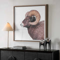 UTTERMOST Big Horn Sheep Framed Print - Art