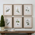 UTTERMOST Floral Study Prints Set Of 6 - Art