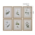 UTTERMOST FLORAL STUDY PRINTS - Art