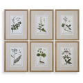 UTTERMOST FLORAL STUDY PRINTS - Art