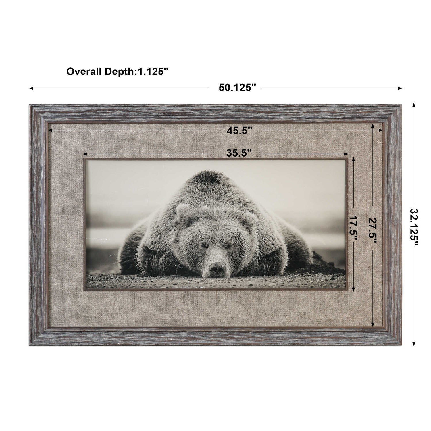 UTTERMOST Deep Sleep Bear Print - Art