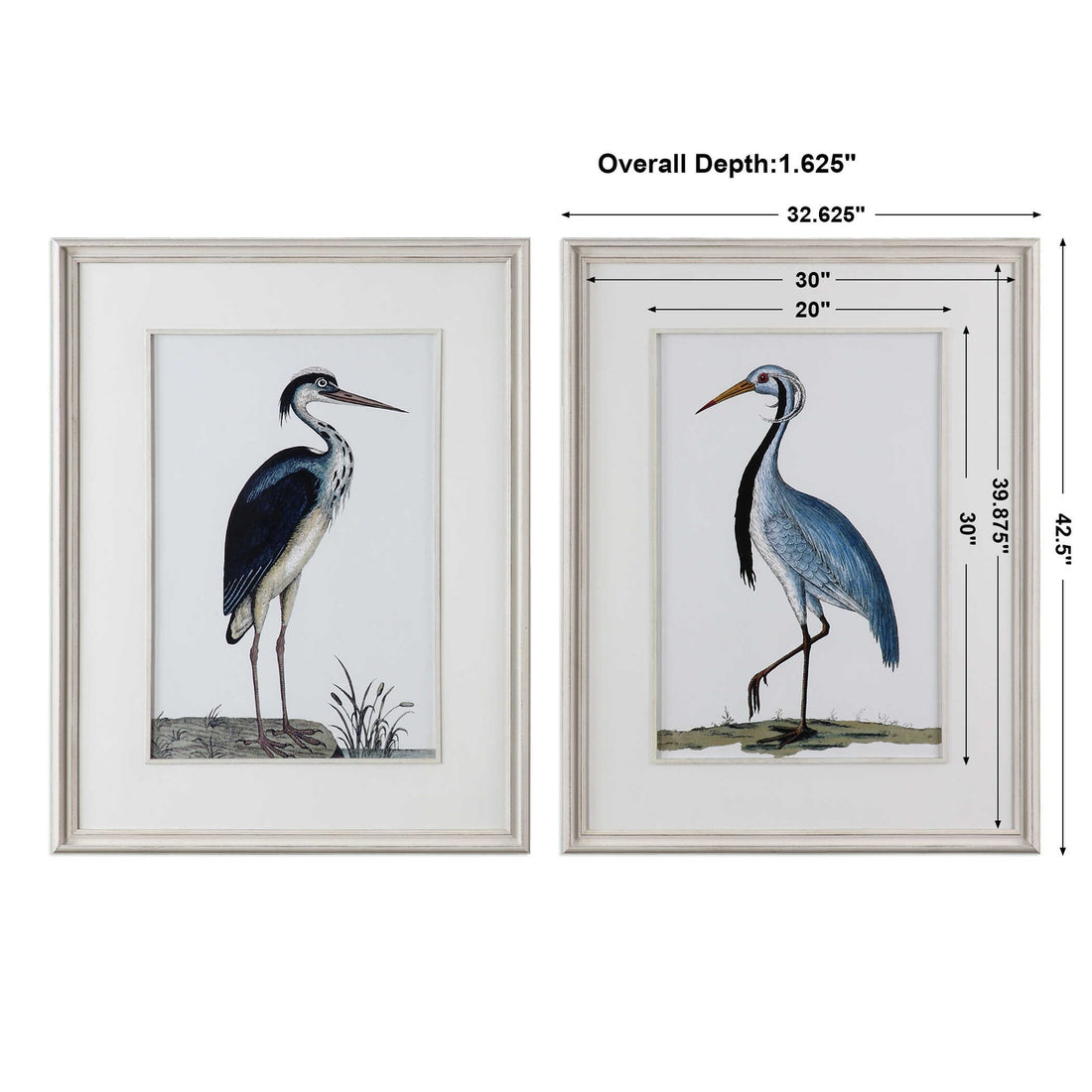 UTTERMOST Shore Birds Framed Prints Set Of 2 - Art