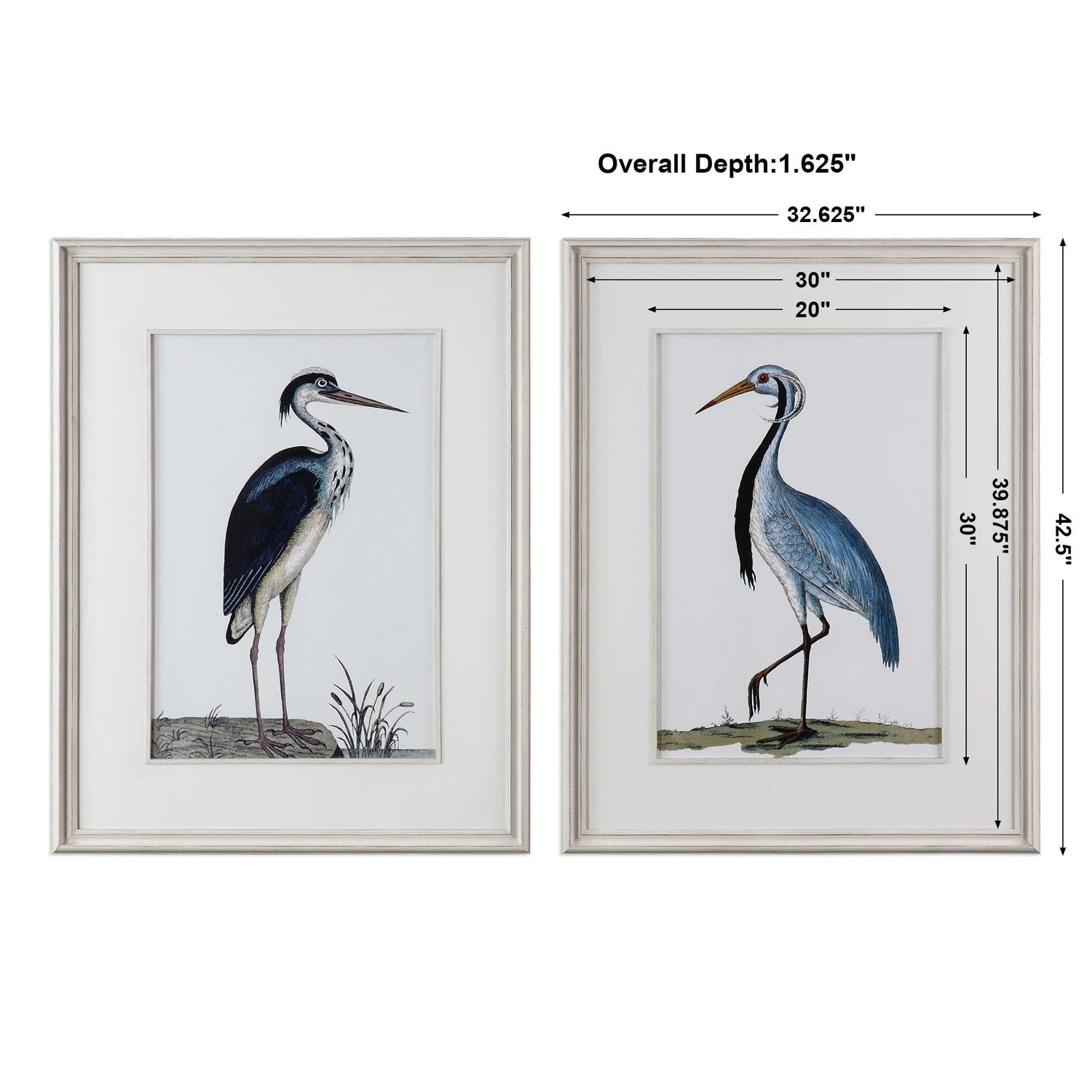 UTTERMOST SHORE BIRDS FRAMED PRINTS - Art