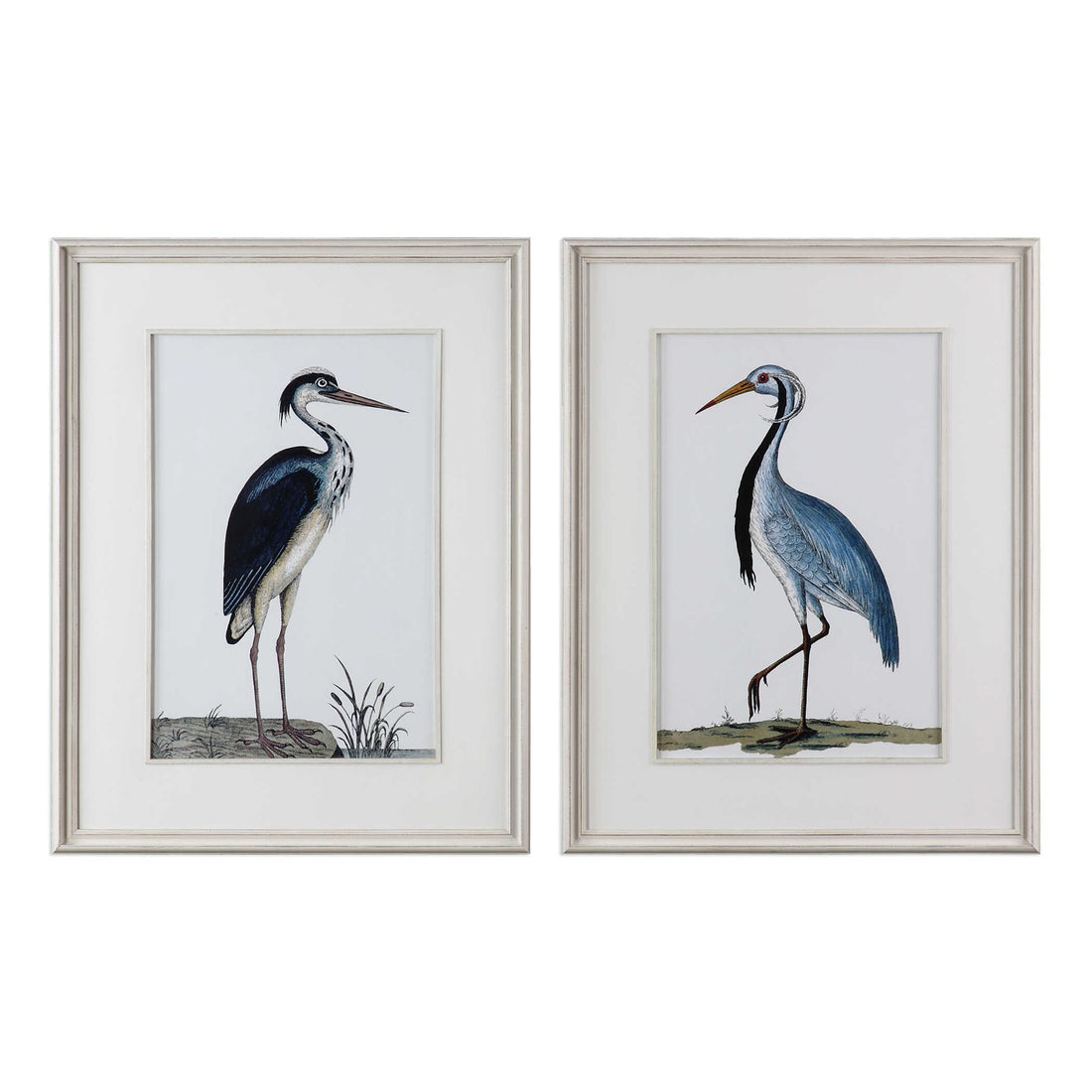 UTTERMOST Shore Birds Framed Prints Set Of 2 - Art