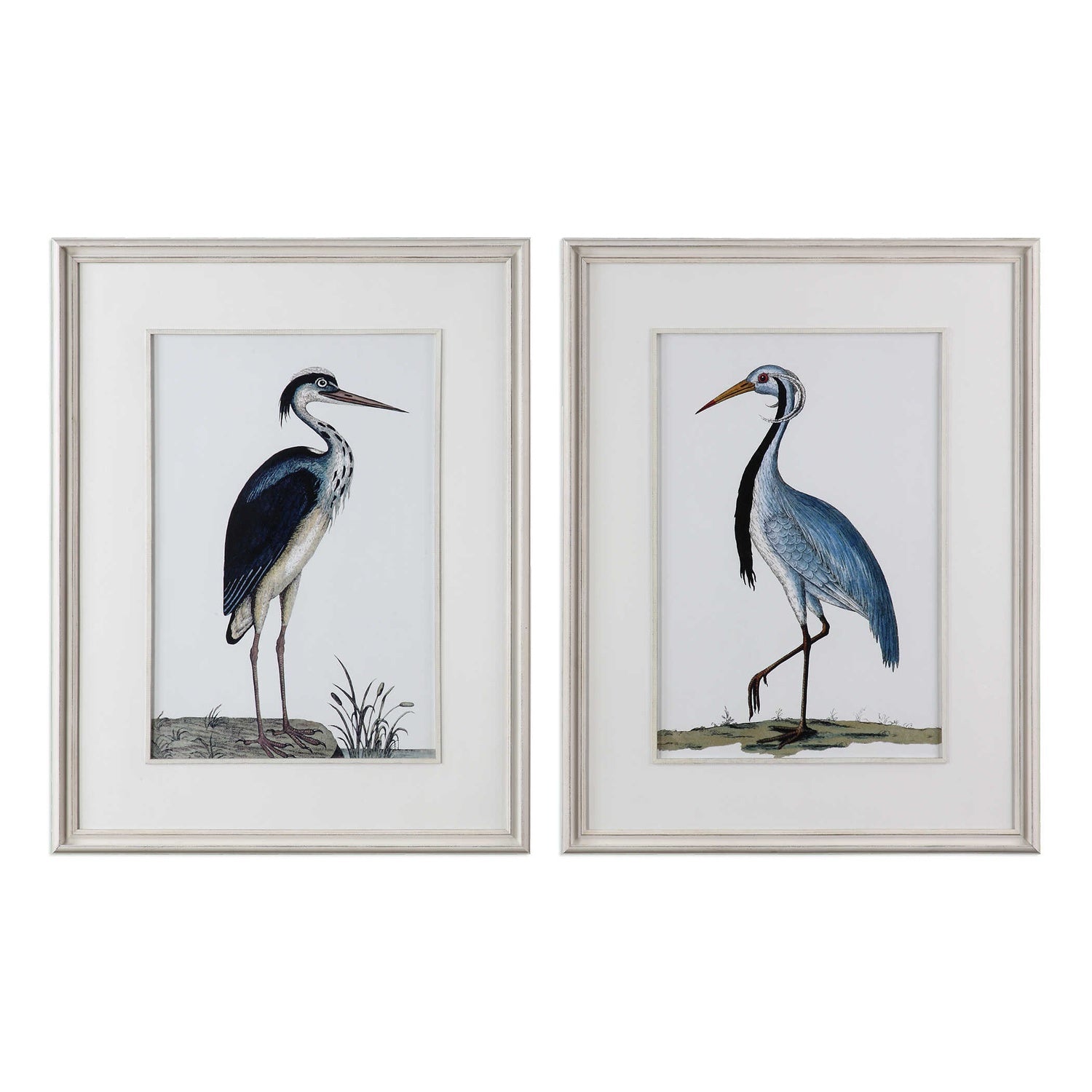 UTTERMOST Shore Birds Framed Prints Set Of 2 - Art