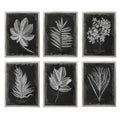 UTTERMOST Foliage Framed Prints Set Of 6 - Art